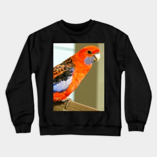 Crimson Rosella Crewneck Sweatshirt